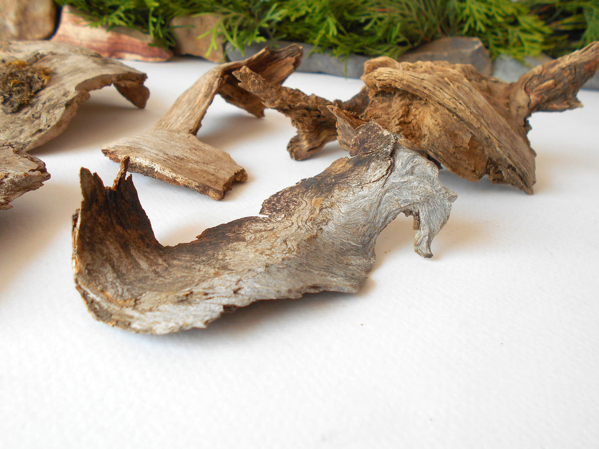 These are set of 9 naturally formed driftwood with a unique surface formed in a forest in the Rhodopes Mountain in Southern Europe- country Bulgaria. These pieces of wood have been formed for many years and time has exposed the inner parts of the old tree wood.&amp;nbsp;  Size: the driftwoods are about 4&#39;&#39; to 6&#39;&#39; - 10 to 15 cm.&amp;nbsp;