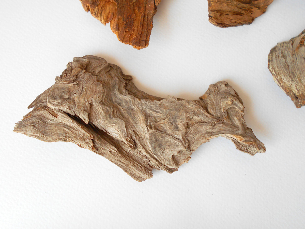 These are set of 9 naturally formed driftwood with a unique surface formed in a forest in the Rhodopes Mountain in Southern Europe- country Bulgaria. These pieces of wood have been formed for many years and time has exposed the inner parts of the old tree wood.&amp;nbsp;  Size: the driftwoods are about 4&#39;&#39; to 6&#39;&#39; - 10 to 15 cm.&amp;nbsp;