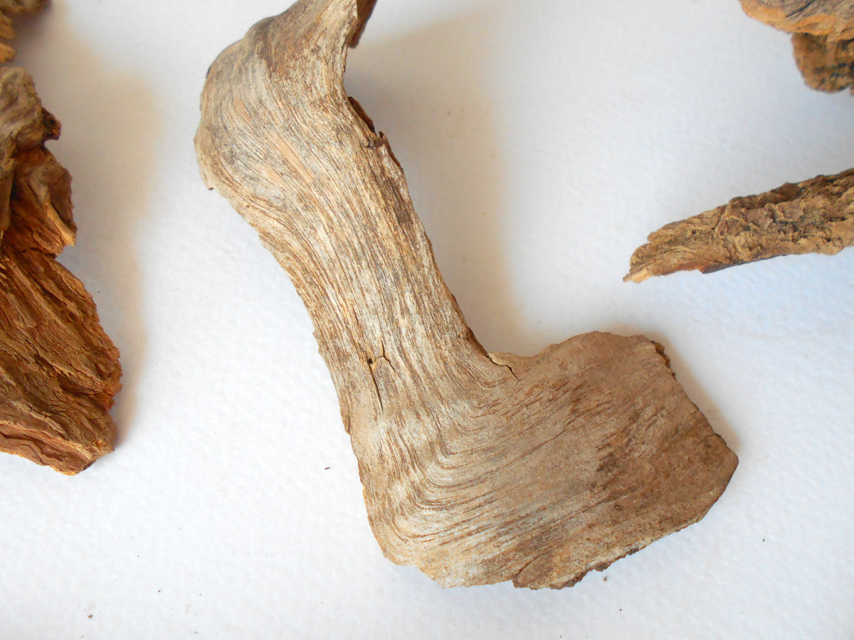 These are set of 9 naturally formed driftwood with a unique surface formed in a forest in the Rhodopes Mountain in Southern Europe- country Bulgaria. These pieces of wood have been formed for many years and time has exposed the inner parts of the old tree wood.&amp;nbsp;  Size: the driftwoods are about 4&#39;&#39; to 6&#39;&#39; - 10 to 15 cm.&amp;nbsp;