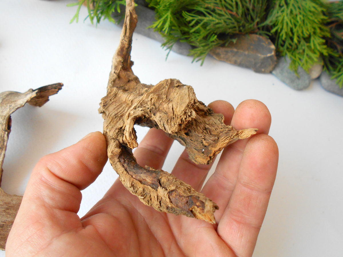 These are set of 9 naturally formed driftwood with a unique surface formed in a forest in the Rhodopes Mountain in Southern Europe- country Bulgaria. These pieces of wood have been formed for many years and time has exposed the inner parts of the old tree wood.&amp;nbsp;  Size: the driftwoods are about 4&#39;&#39; to 6&#39;&#39; - 10 to 15 cm.&amp;nbsp;