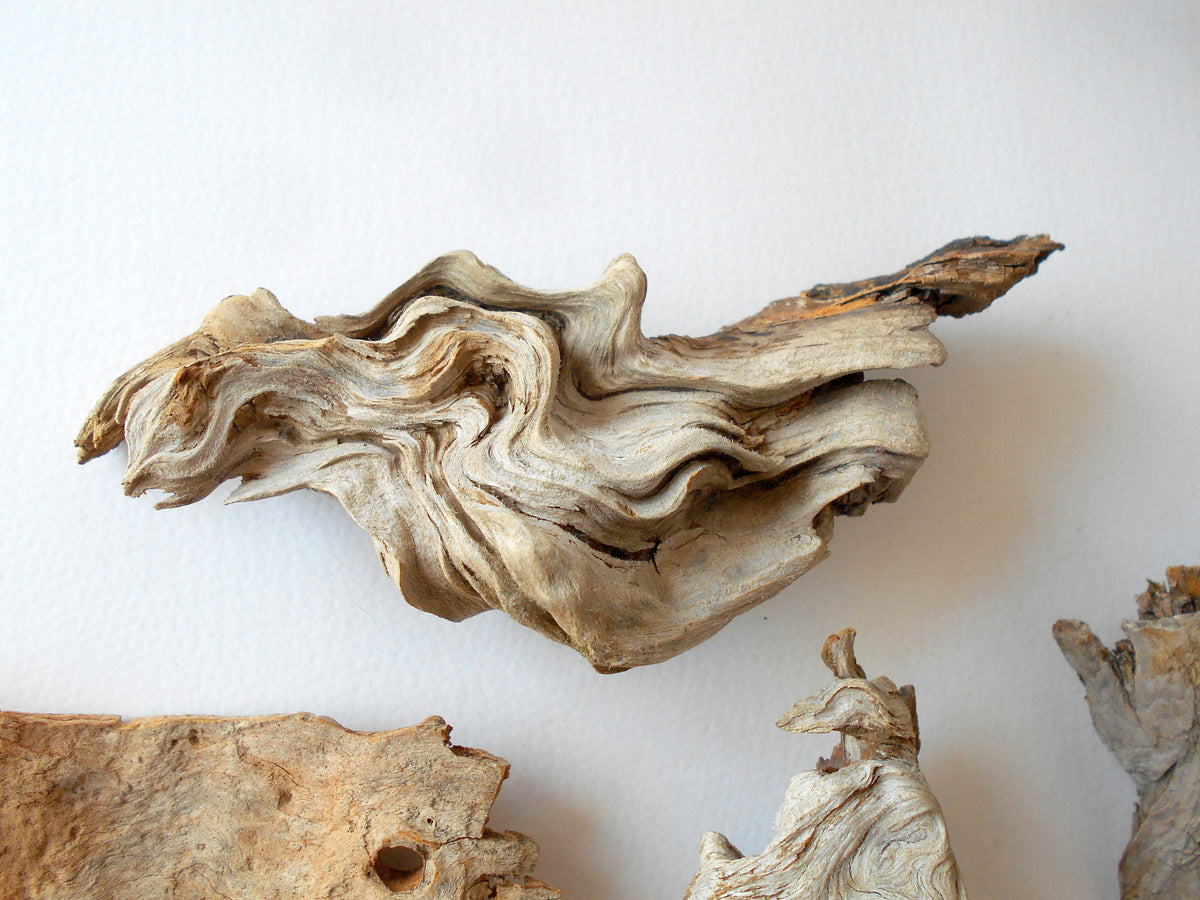 These are set of 5 naturally formed driftwood with a unique surface formed in a forest in the Rhodopes Mountain in Southern Europe- country Bulgaria. These pieces of wood have been formed for many years and time has exposed the inner parts of the old tree wood.&amp;nbsp;  Size: the driftwoods are about 4&#39;&#39; to 5&#39;&#39; - 10 to 13 cm.&amp;nbsp;