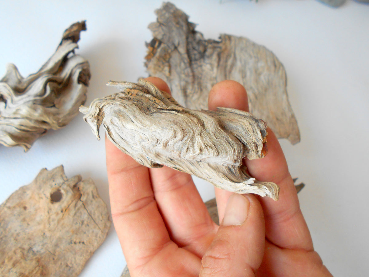 These are set of 5 naturally formed driftwood with a unique surface formed in a forest in the Rhodopes Mountain in Southern Europe- country Bulgaria. These pieces of wood have been formed for many years and time has exposed the inner parts of the old tree wood.&amp;nbsp;  Size: the driftwoods are about 4&#39;&#39; to 5&#39;&#39; - 10 to 13 cm.&amp;nbsp;