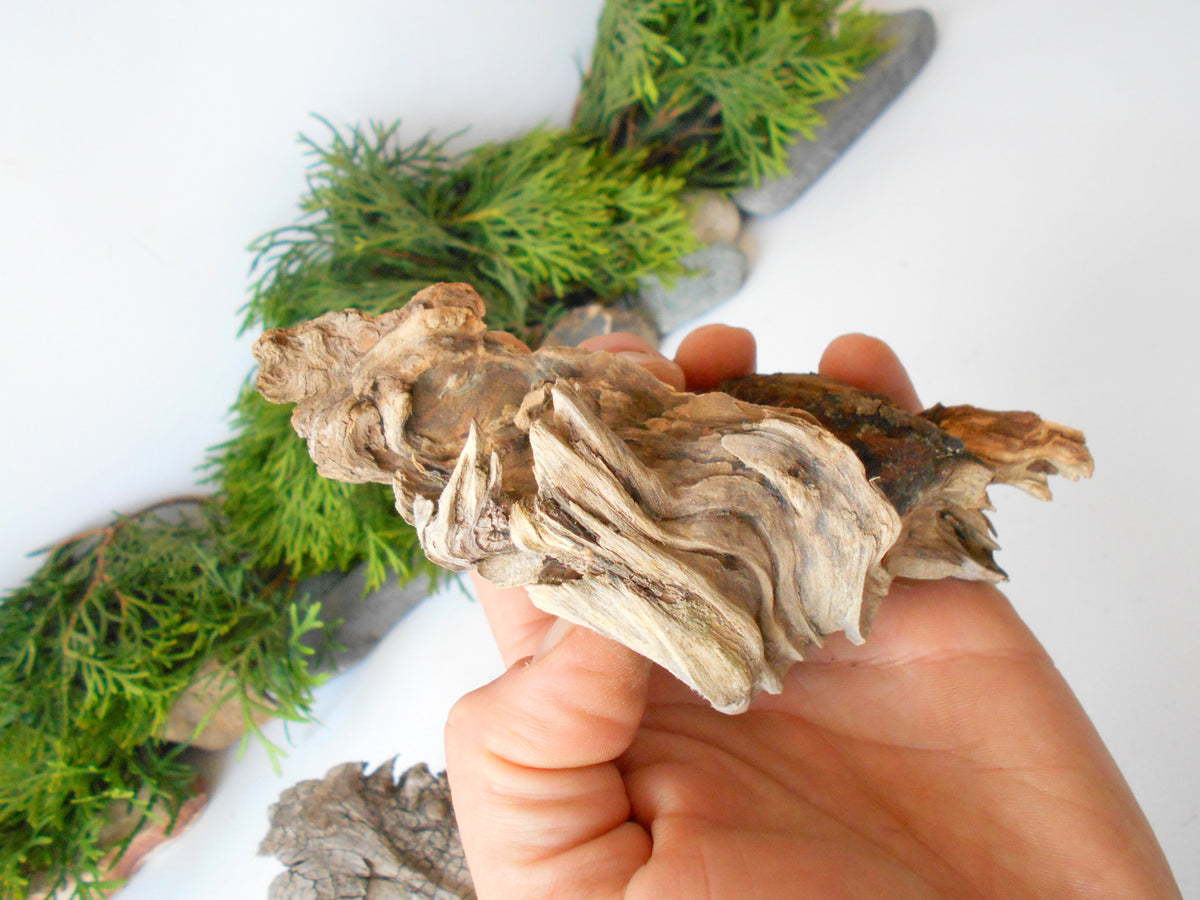 These are set of 5 naturally formed driftwood with a unique surface formed in a forest in the Rhodopes Mountain in Southern Europe- country Bulgaria. These pieces of wood have been formed for many years and time has exposed the inner parts of the old tree wood.&amp;nbsp;  Size: the driftwoods are about 4&#39;&#39; to 5&#39;&#39; - 10 to 13 cm.&amp;nbsp;