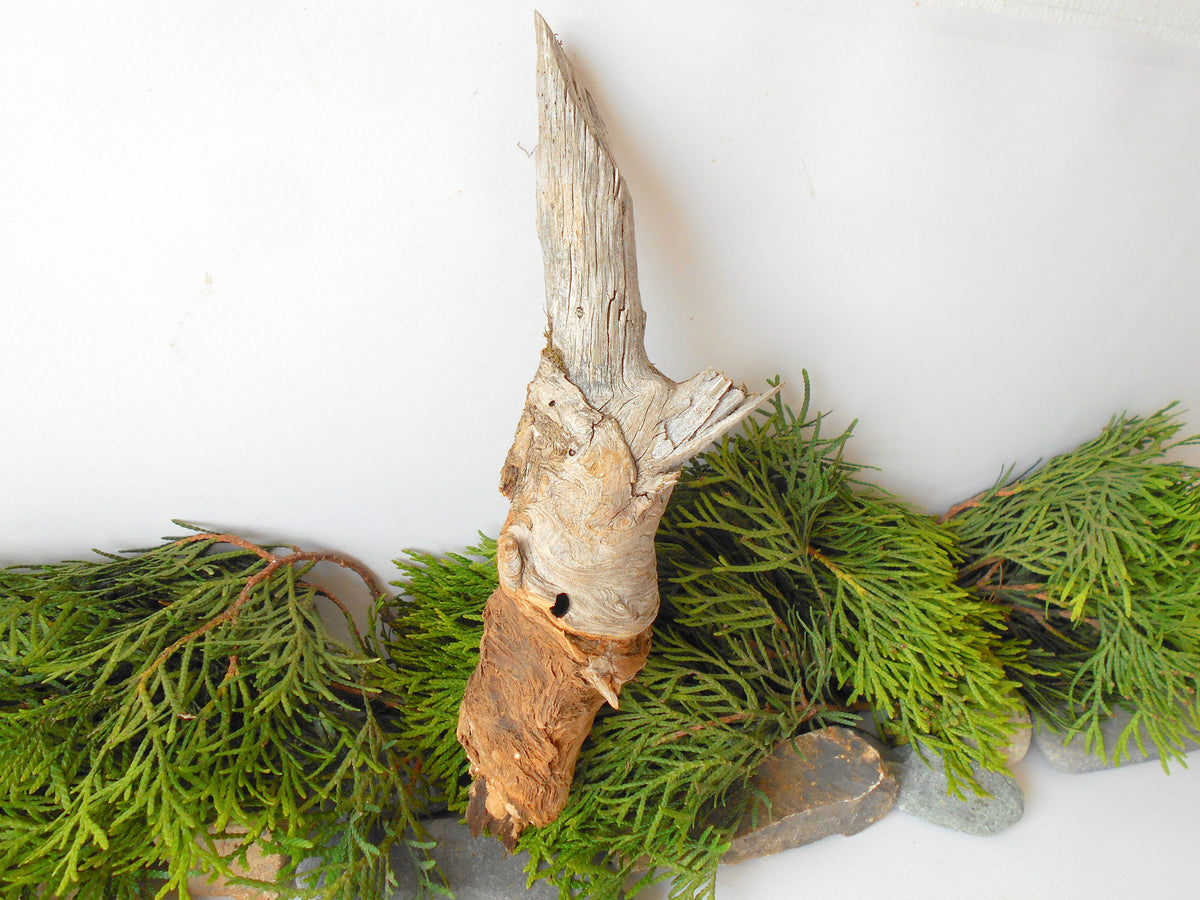 This is a naturally formed driftwood with a unique surface formed in a forest in the Rhodopes Mountain in Southern Europe- country Bulgaria. This piece of wood has been formed for many years and time has exposed the inner parts of the old tree wood.&amp;nbsp;  Size: 7&#39;&#39; x 2&#39;&#39; x 2&#39;&#39;-&amp;nbsp; 18 x 5 x 5 cm.&amp;nbsp;