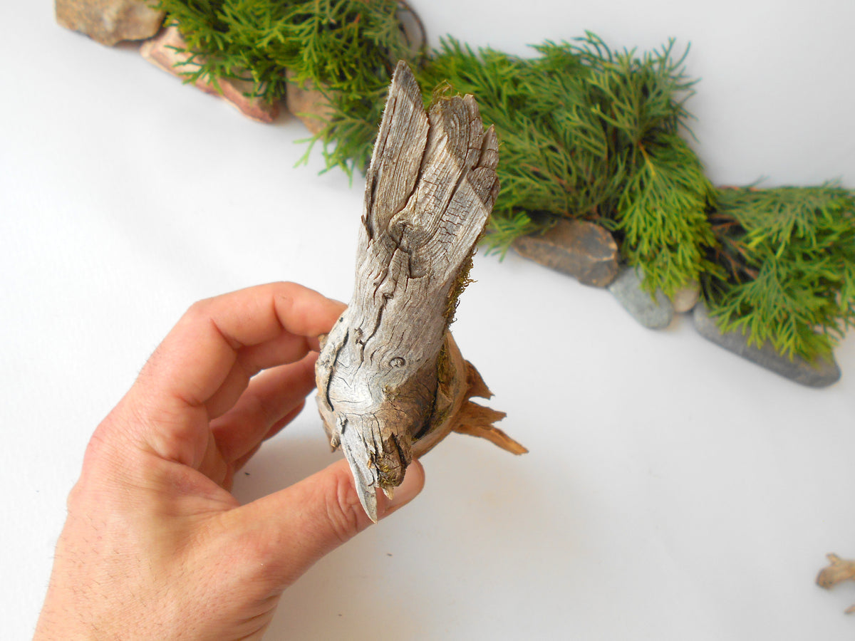 This is a naturally formed driftwood with a unique surface formed in a forest in the Rhodopes Mountain in Southern Europe- country Bulgaria. This piece of wood has been formed for many years and time has exposed the inner parts of the old tree wood.&amp;nbsp;  Size: 7&#39;&#39; x 2&#39;&#39; x 2&#39;&#39;-&amp;nbsp; 18 x 5 x 5 cm.&amp;nbsp;