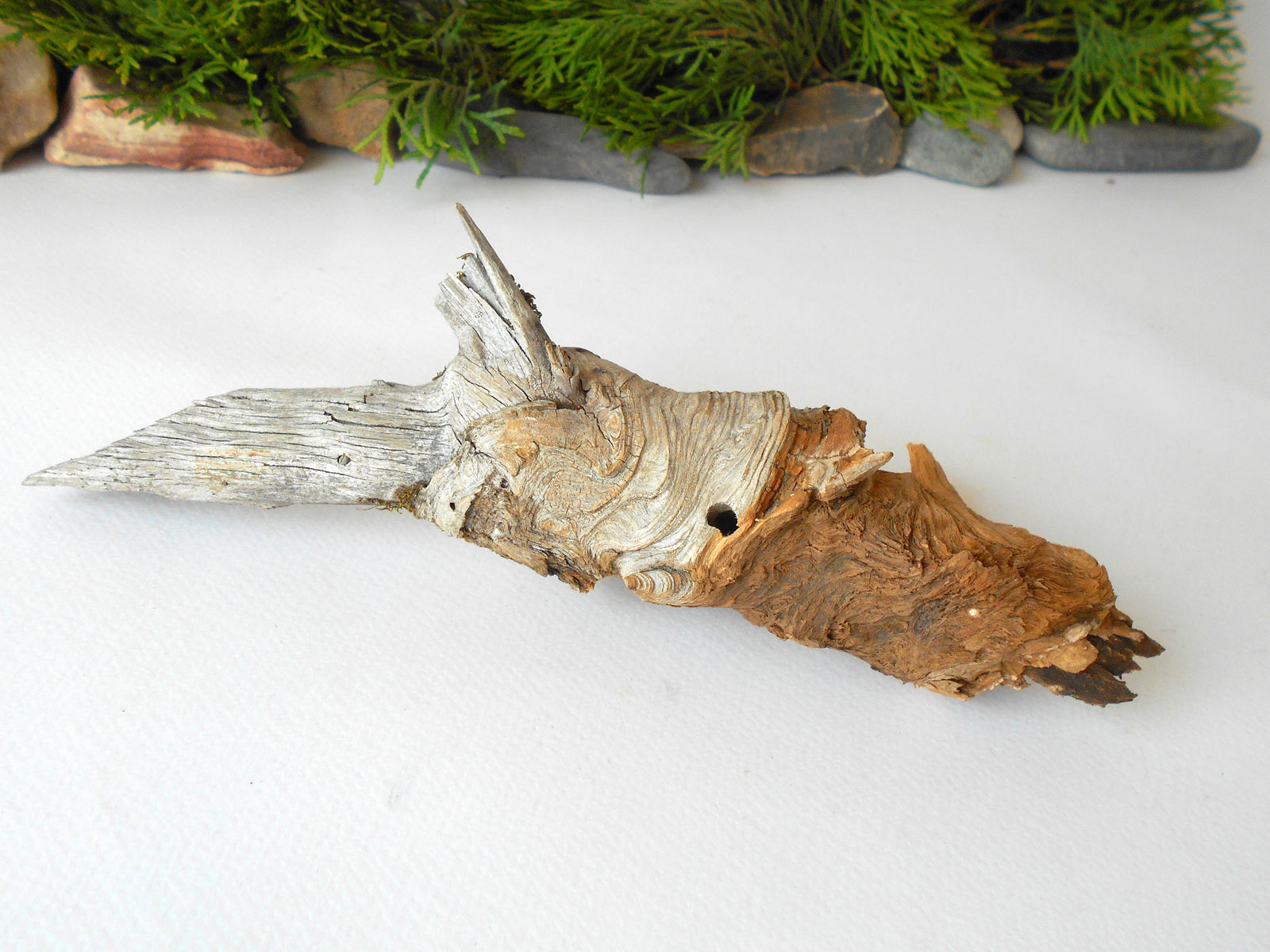 This is a naturally formed driftwood with a unique surface formed in a forest in the Rhodopes Mountain in Southern Europe- country Bulgaria. This piece of wood has been formed for many years and time has exposed the inner parts of the old tree wood.&nbsp;  Size: 7'' x 2'' x 2''-&nbsp; 18 x 5 x 5 cm.&nbsp;