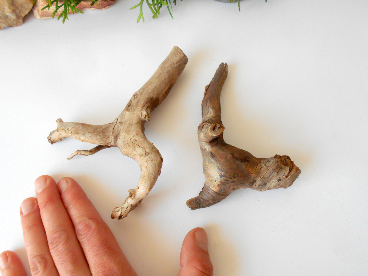 This is a naturally formed driftwood with a unique surface formed in a forest in the Rhodopes Mountain in Southern Europe- country Bulgaria. This piece of wood has been formed for many years and time has exposed the inner parts of the old tree wood.&amp;nbsp;  Size: abut 5&#39;&#39; x 2&#39;&#39; x 2&#39;&#39;-&amp;nbsp; 13 x 5 x 5 cm.&amp;nbsp;