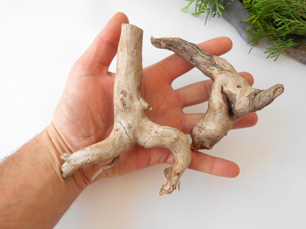 This is a naturally formed driftwood with a unique surface formed in a forest in the Rhodopes Mountain in Southern Europe- country Bulgaria. This piece of wood has been formed for many years and time has exposed the inner parts of the old tree wood.&amp;nbsp;  Size: abut 5&#39;&#39; x 2&#39;&#39; x 2&#39;&#39;-&amp;nbsp; 13 x 5 x 5 cm.&amp;nbsp;