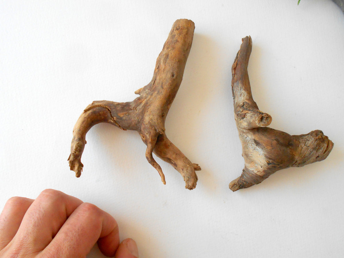 This is a naturally formed driftwood with a unique surface formed in a forest in the Rhodopes Mountain in Southern Europe- country Bulgaria. This piece of wood has been formed for many years and time has exposed the inner parts of the old tree wood.&amp;nbsp;  Size: abut 5&#39;&#39; x 2&#39;&#39; x 2&#39;&#39;-&amp;nbsp; 13 x 5 x 5 cm.&amp;nbsp;