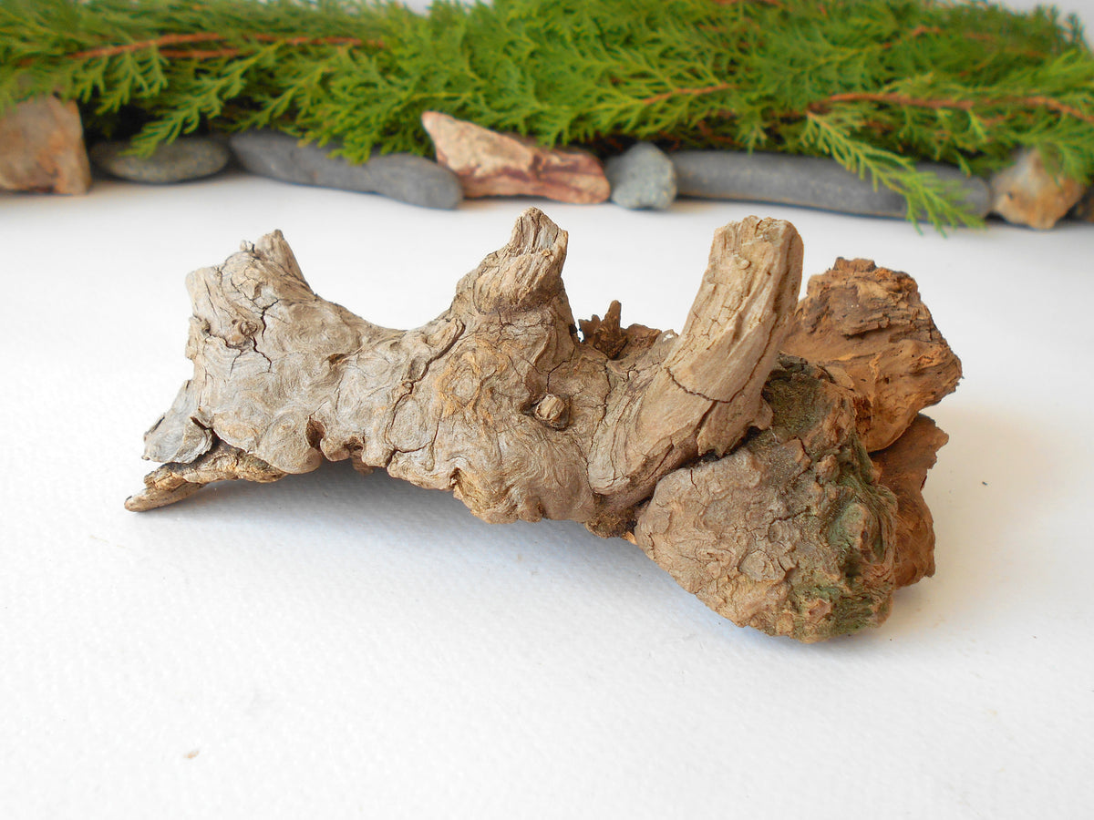 This is a naturally formed driftwood with a unique surface formed in a forest in the Rhodopes Mountain in Southern Europe- country Bulgaria. This piece of wood has been formed for many years and time has exposed the inner parts of the old tree wood.&amp;nbsp;

Size: about 6&#39;&#39;L x 3&#39;&#39;w x 4&#39;&#39; h-&amp;nbsp; &amp;nbsp;15 x&amp;nbsp; 8 x 10 cm.&amp;nbsp;