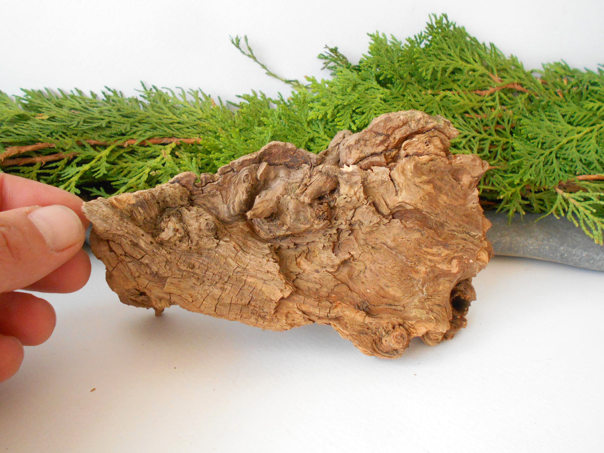 This is a naturally formed driftwood with a unique surface formed in a forest in the Rhodopes Mountain in Southern Europe- country Bulgaria. This piece of wood has been formed for many years and time has exposed the inner parts of the old tree wood.&amp;nbsp;

Size: about 6&#39;&#39;L x 3&#39;&#39;w x 4&#39;&#39; h-&amp;nbsp; &amp;nbsp;15 x&amp;nbsp; 8 x 10 cm.&amp;nbsp;