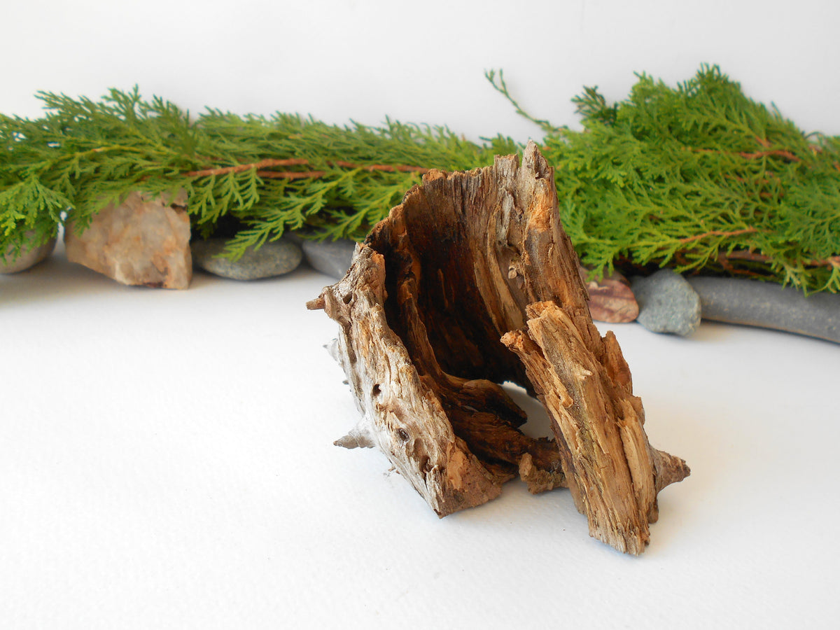 This is a naturally formed driftwood with a unique surface formed in a forest in the Rhodopes Mountain in Southern Europe- country Bulgaria. This piece of wood has been formed for many years and time has exposed the inner parts of the old tree wood.&amp;nbsp;

Size: about 4&#39;&#39;L x 4&#39;&#39;w x 3&#39;&#39; h-&amp;nbsp; &amp;nbsp;10 x 10&amp;nbsp; x 8 cm.&amp;nbsp;