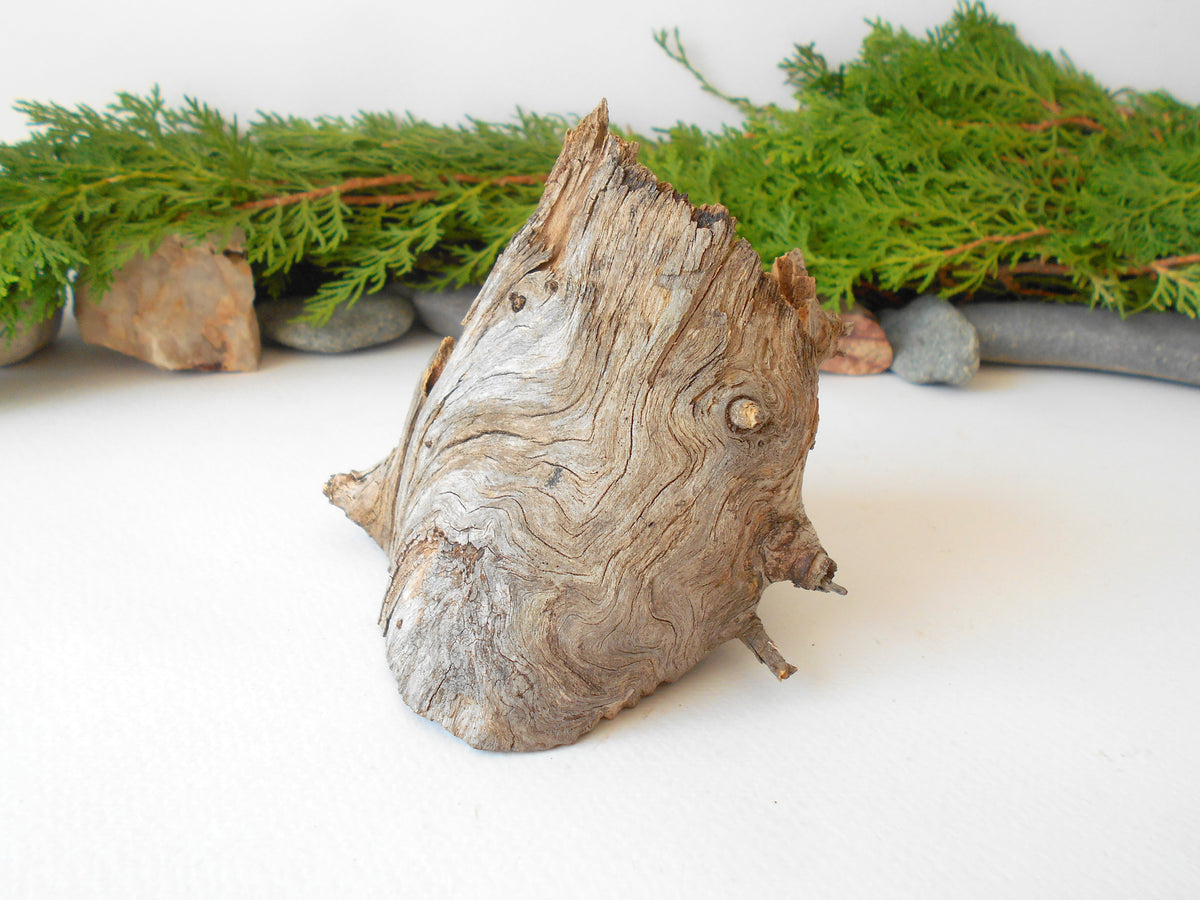 This is a naturally formed driftwood with a unique surface formed in a forest in the Rhodopes Mountain in Southern Europe- country Bulgaria. This piece of wood has been formed for many years and time has exposed the inner parts of the old tree wood.&amp;nbsp;

Size: about 4&#39;&#39;L x 4&#39;&#39;w x 3&#39;&#39; h-&amp;nbsp; &amp;nbsp;10 x 10&amp;nbsp; x 8 cm.&amp;nbsp;