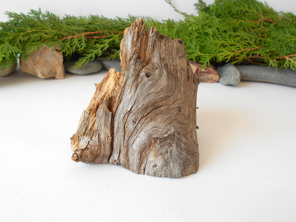 This is a naturally formed driftwood with a unique surface formed in a forest in the Rhodopes Mountain in Southern Europe- country Bulgaria. This piece of wood has been formed for many years and time has exposed the inner parts of the old tree wood.&amp;nbsp;

Size: about 4&#39;&#39;L x 4&#39;&#39;w x 3&#39;&#39; h-&amp;nbsp; &amp;nbsp;10 x 10&amp;nbsp; x 8 cm.&amp;nbsp;