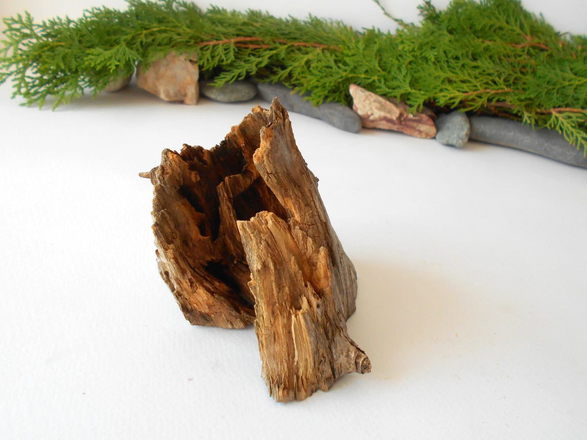 This is a naturally formed driftwood with a unique surface formed in a forest in the Rhodopes Mountain in Southern Europe- country Bulgaria. This piece of wood has been formed for many years and time has exposed the inner parts of the old tree wood.&amp;nbsp;

Size: about 4&#39;&#39;L x 4&#39;&#39;w x 3&#39;&#39; h-&amp;nbsp; &amp;nbsp;10 x 10&amp;nbsp; x 8 cm.&amp;nbsp;