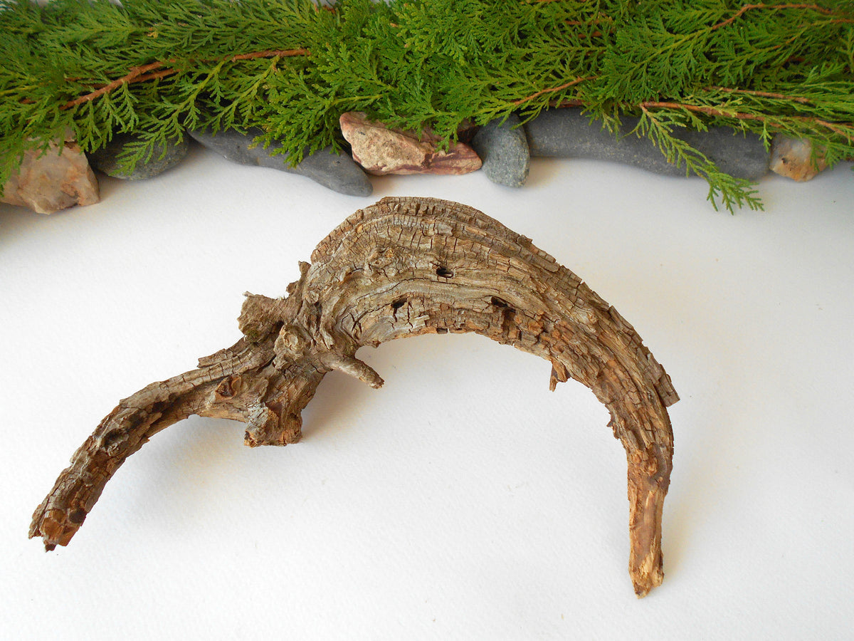 This is a naturally formed driftwood with a unique surface formed in a forest in the Rhodopes Mountain in Southern Europe- country Bulgaria. This piece of wood has been formed for many years and time has exposed the inner parts of the old tree wood.&amp;nbsp;

Size: about 10&#39;&#39;L x 6&#39;&#39;w x 3&#39;&#39; h-&amp;nbsp; &amp;nbsp;26 x 15 x 8 cm.&amp;nbsp;