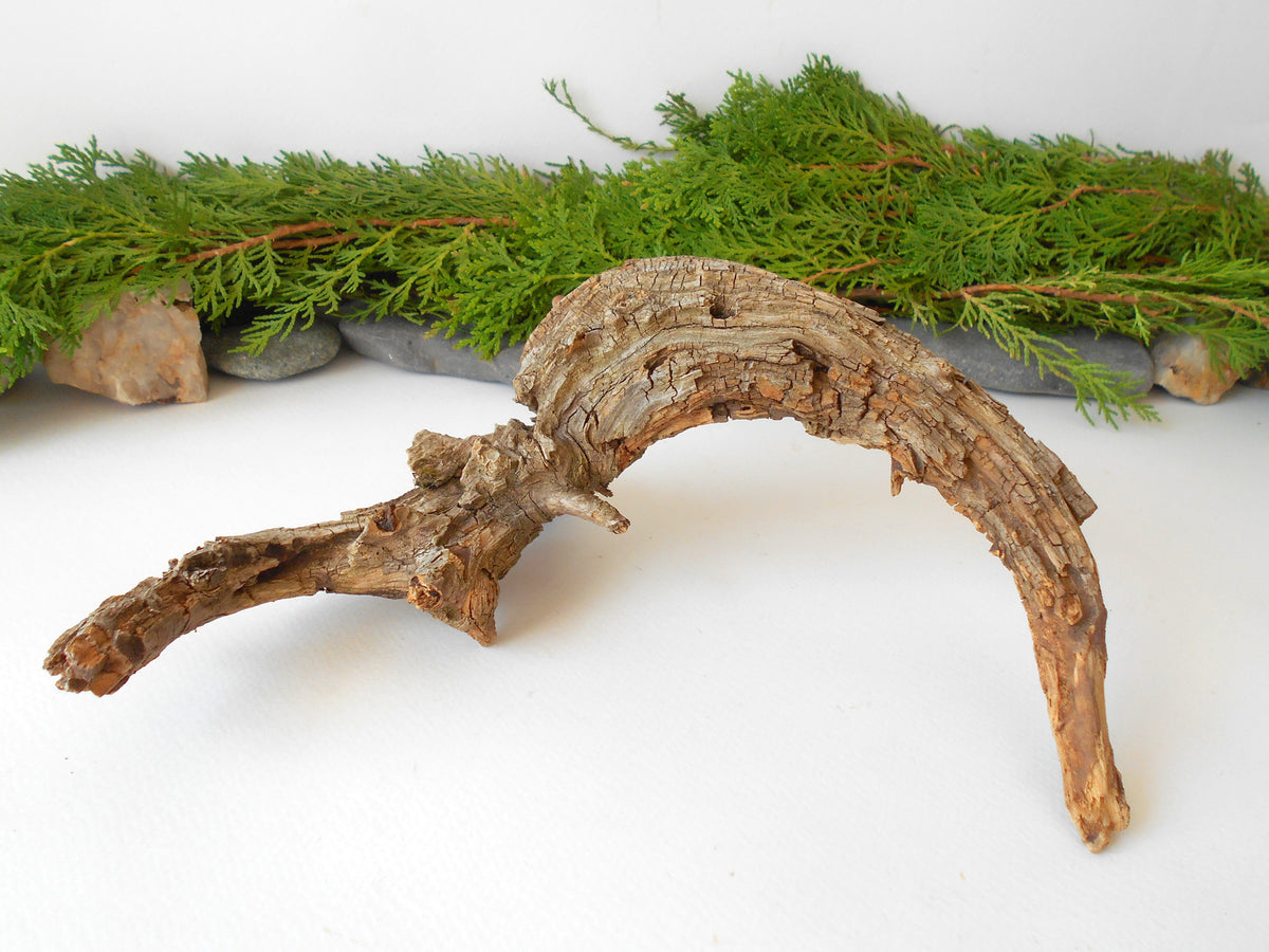 This is a naturally formed driftwood with a unique surface formed in a forest in the Rhodopes Mountain in Southern Europe- country Bulgaria. This piece of wood has been formed for many years and time has exposed the inner parts of the old tree wood.&amp;nbsp;

Size: about 10&#39;&#39;L x 6&#39;&#39;w x 3&#39;&#39; h-&amp;nbsp; &amp;nbsp;26 x 15 x 8 cm.&amp;nbsp;