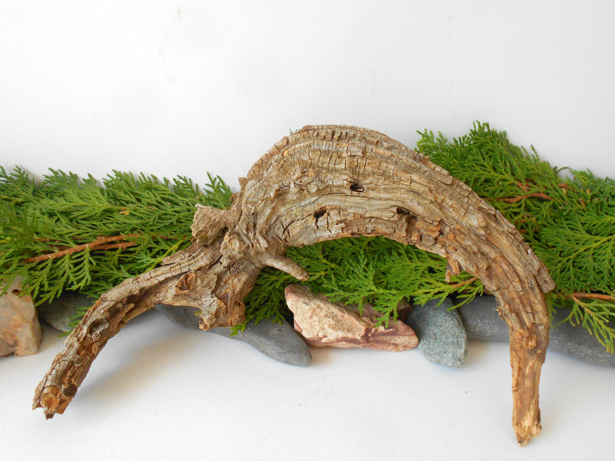 This is a naturally formed driftwood with a unique surface formed in a forest in the Rhodopes Mountain in Southern Europe- country Bulgaria. This piece of wood has been formed for many years and time has exposed the inner parts of the old tree wood.&amp;nbsp;

Size: about 10&#39;&#39;L x 6&#39;&#39;w x 3&#39;&#39; h-&amp;nbsp; &amp;nbsp;26 x 15 x 8 cm.&amp;nbsp;