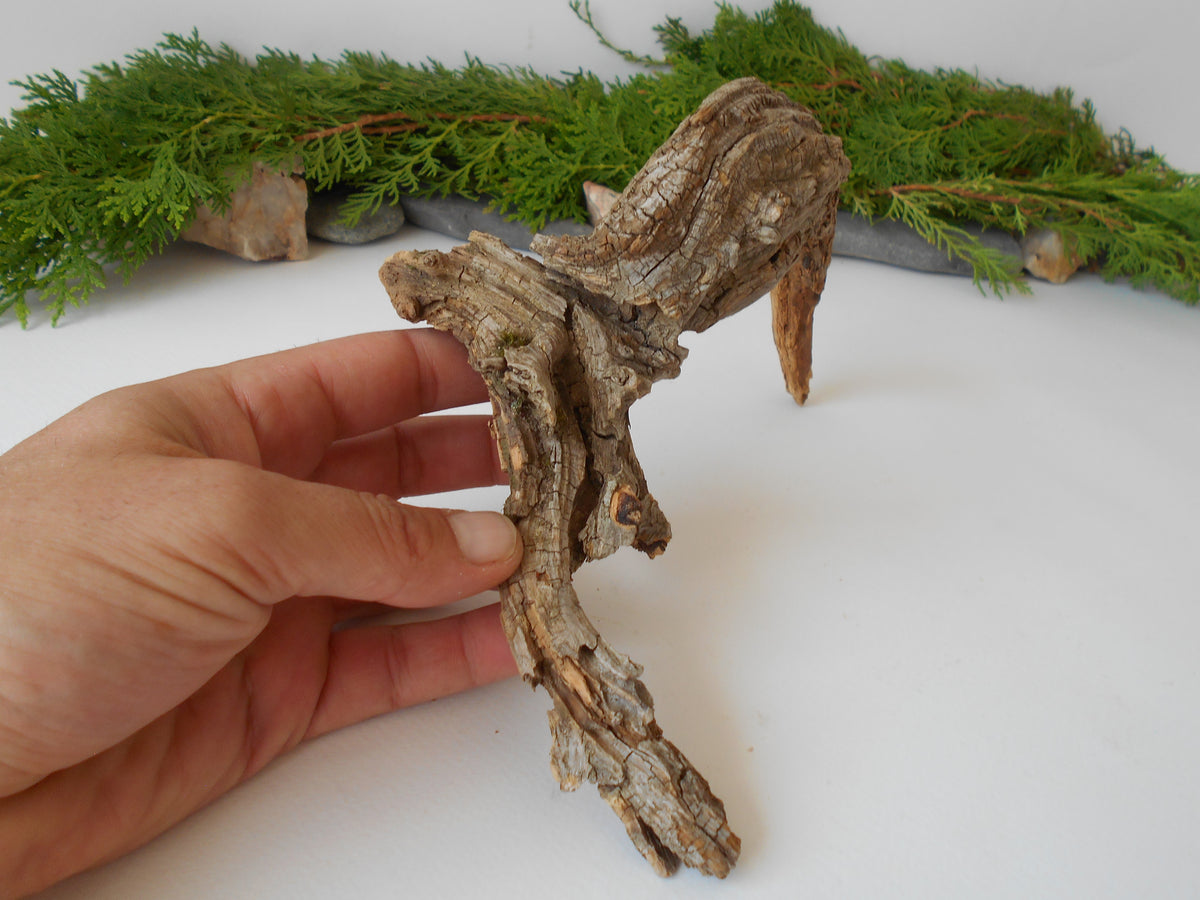 This is a naturally formed driftwood with a unique surface formed in a forest in the Rhodopes Mountain in Southern Europe- country Bulgaria. This piece of wood has been formed for many years and time has exposed the inner parts of the old tree wood.&amp;nbsp;

Size: about 10&#39;&#39;L x 6&#39;&#39;w x 3&#39;&#39; h-&amp;nbsp; &amp;nbsp;26 x 15 x 8 cm.&amp;nbsp;