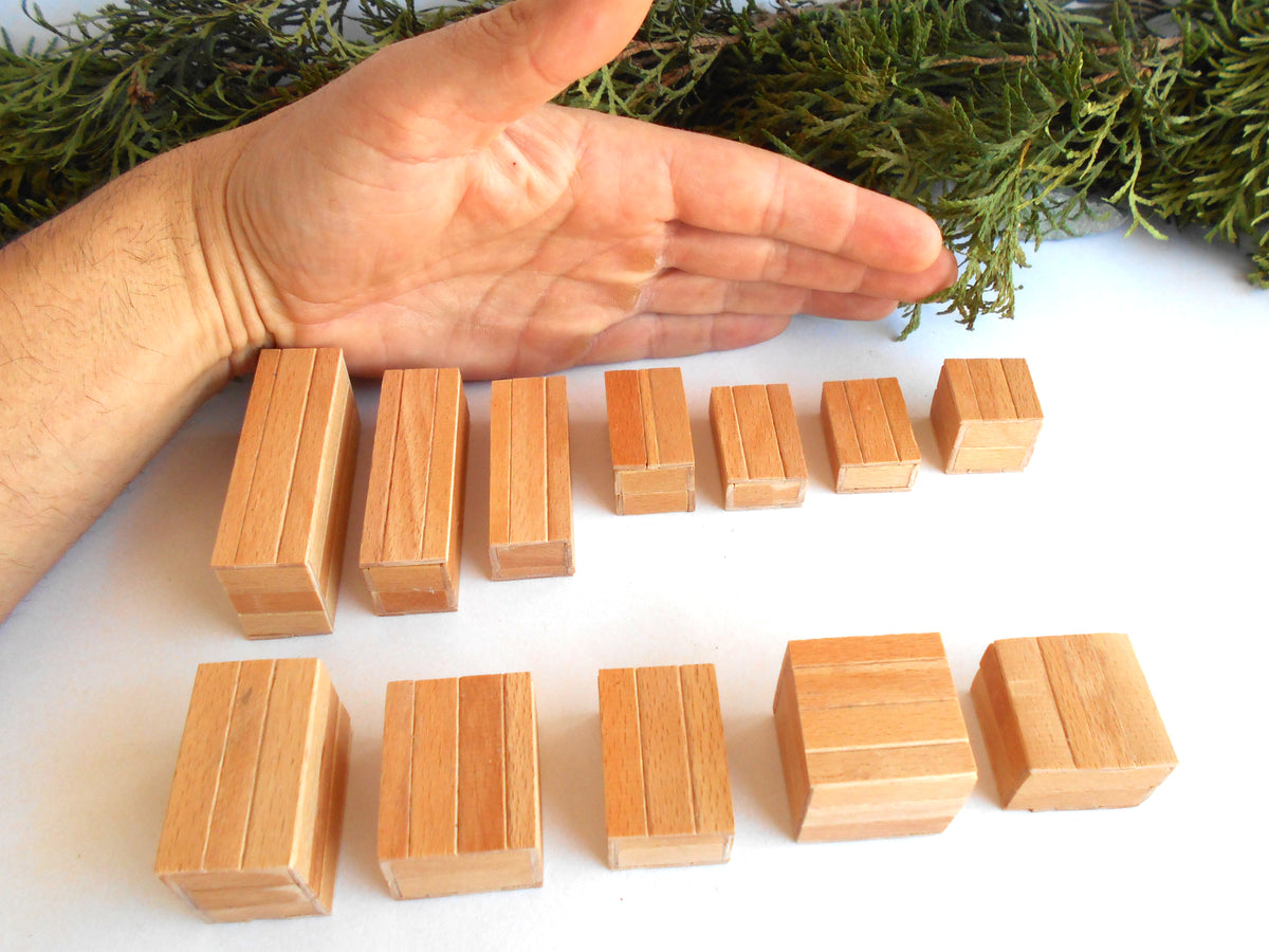 A hand is shown above a set of small rectangular wooden miniature boxes or tiles arranged in rows on a white surface, with greenery along the top edge.