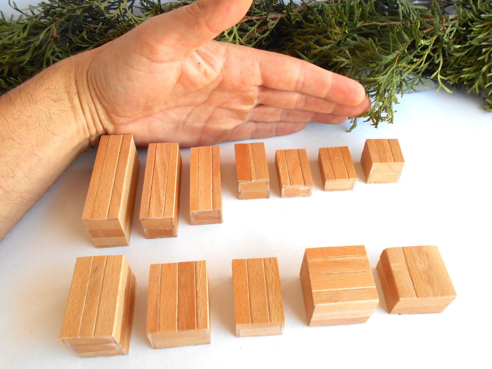 A hand is shown above a set of small rectangular wooden miniature boxes or tiles arranged in rows on a white surface, with greenery along the top edge.