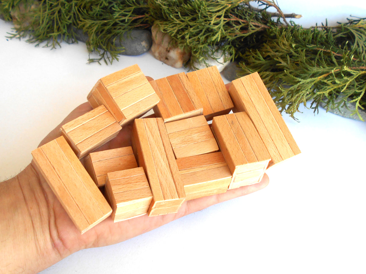 A hand holding a pile of small rectangular wooden miniature boxes with visible wood grain, photographed against a white background with greenery at the top.