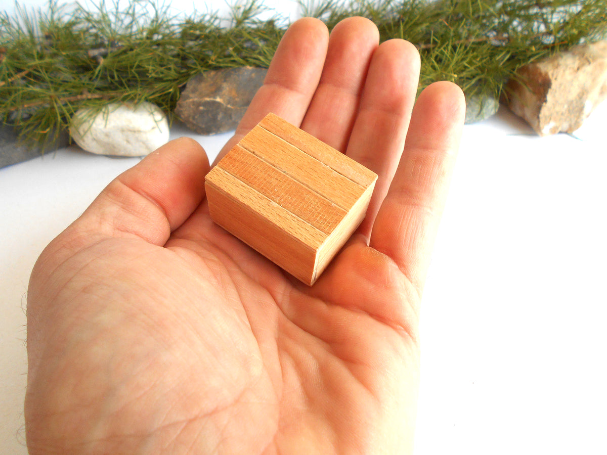 A small rectangular wooden block with three raised horizontal grooves, held in an open hand. The background is a white surface with blurred green pine branches and small rocks.