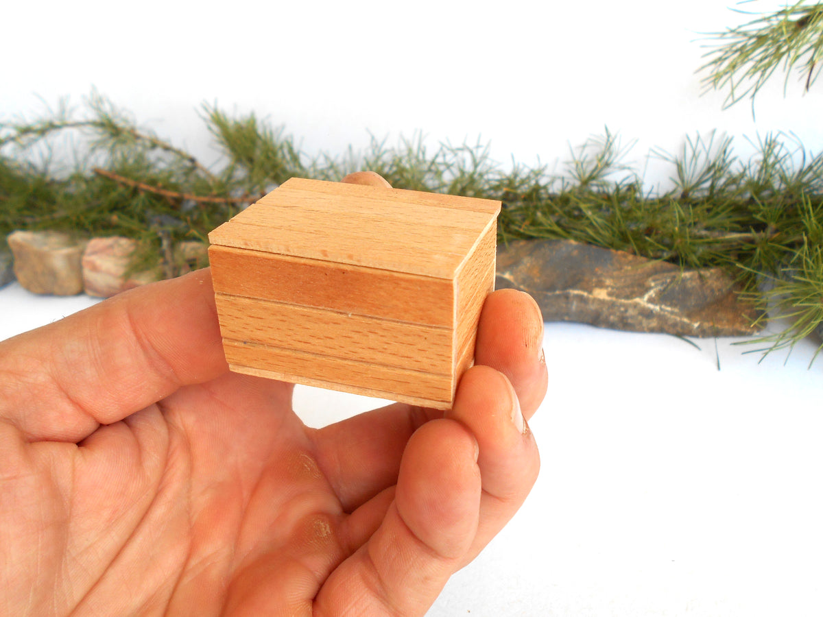 A small rectangular wooden box with a visible wood grain pattern, held in a person's hand against a white background with pine branches and stones.