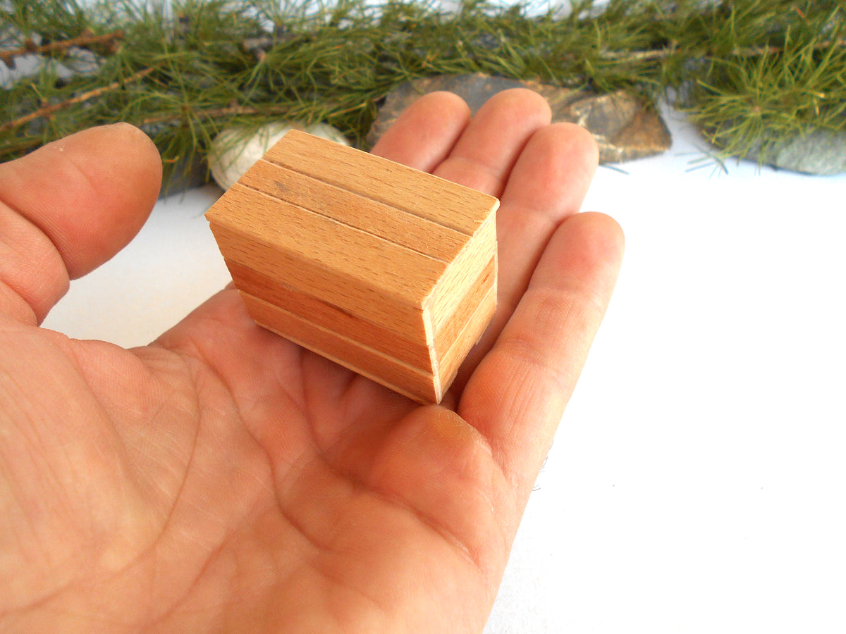 A small rectangular wooden box with a slatted top, held in the palm of a hand against a white background with blurred green pine branches.