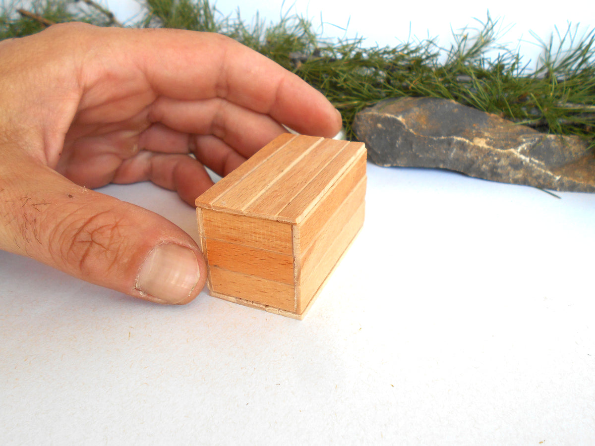 A hand holding a small rectangular wooden box with a striped pattern, set against a white background with decorative greenery and a rock.