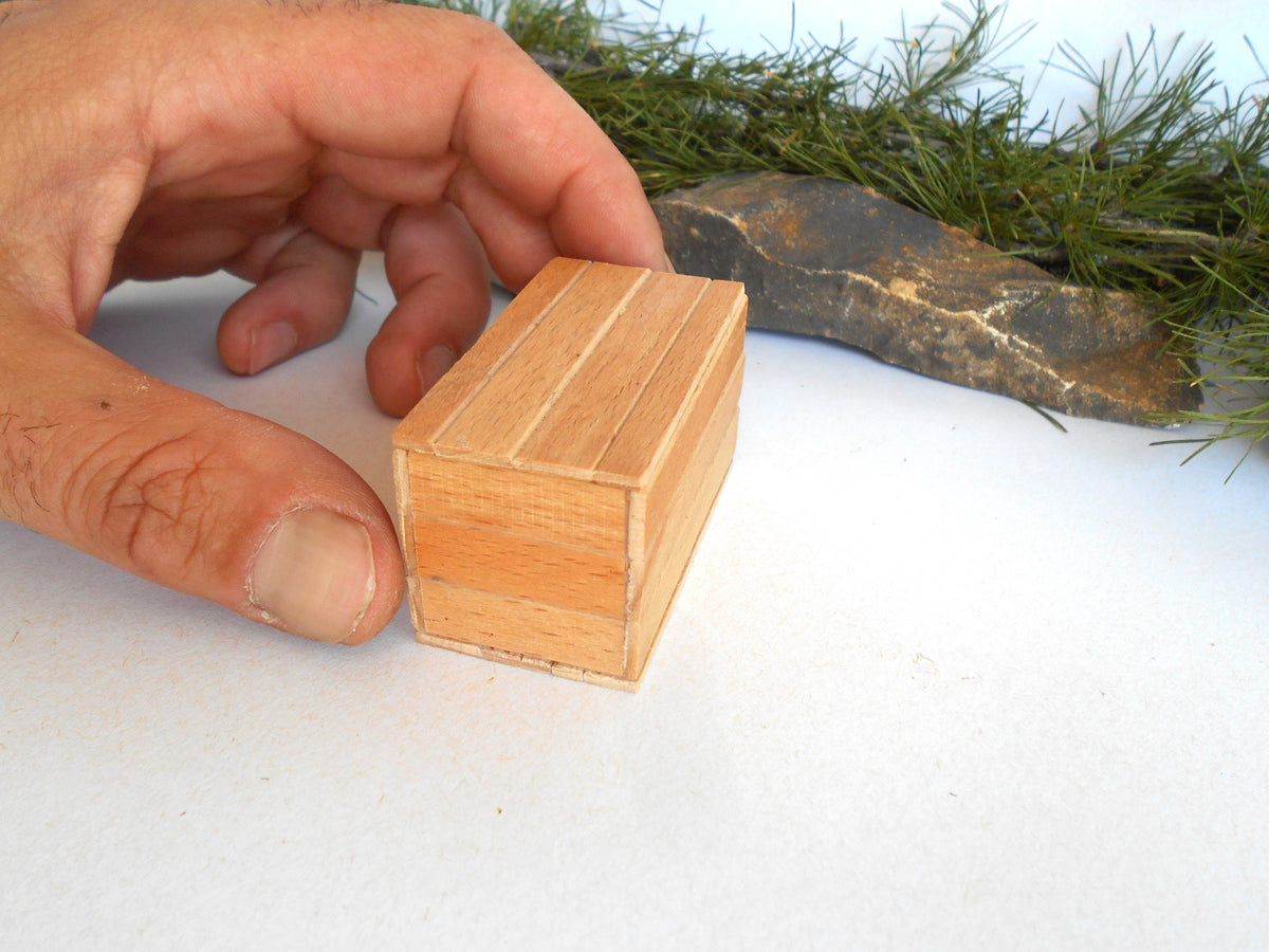 A hand holding a small, rectangular, light-colored wooden box with a slatted or ribbed top, set against a white surface with pine needles and a rock in the background.