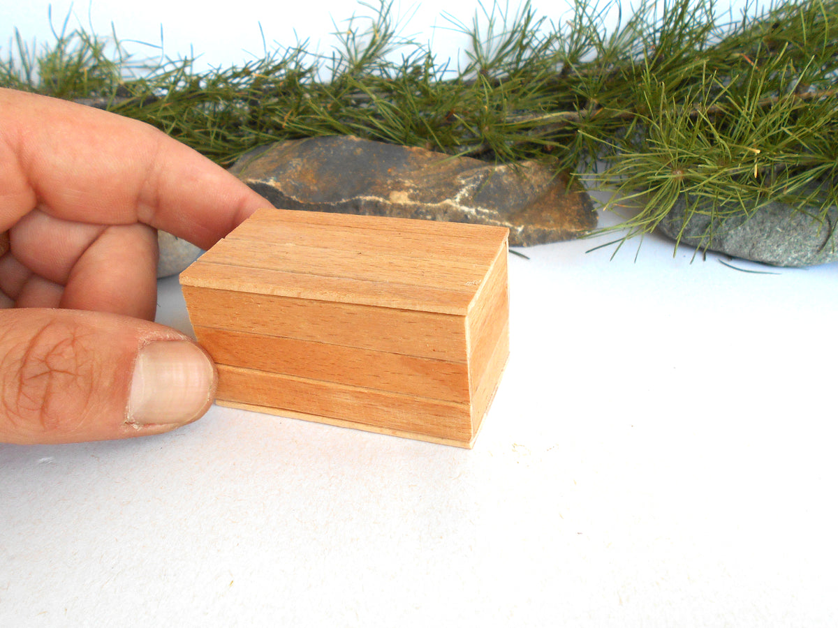 A hand holding a small, rectangular, light brown wooden box with a smooth finish, set against a white background with decorative green pine branches and stones.
