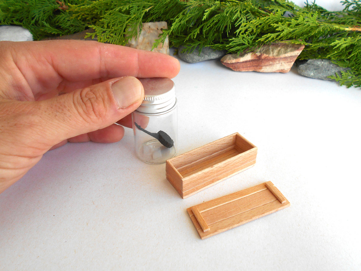 A hand holds a miniature clear glass jar with a silver lid and a small black object inside, next to two tiny light-wood rectangular boxes on a white surface with green foliage in the background.