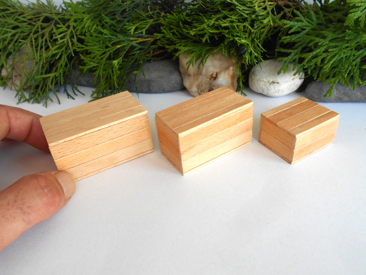 Three small rectangular wooden boxes of different sizes, made of light natural wood, displayed on a white surface with green foliage and stones in the background. A hand is holding the leftmost box.