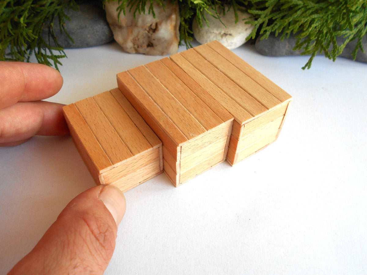 Three miniature wooden blocks or boxes with a realistic wood grain finish, held by a person's hand to show scale on a white surface with decorative greenery in the background.