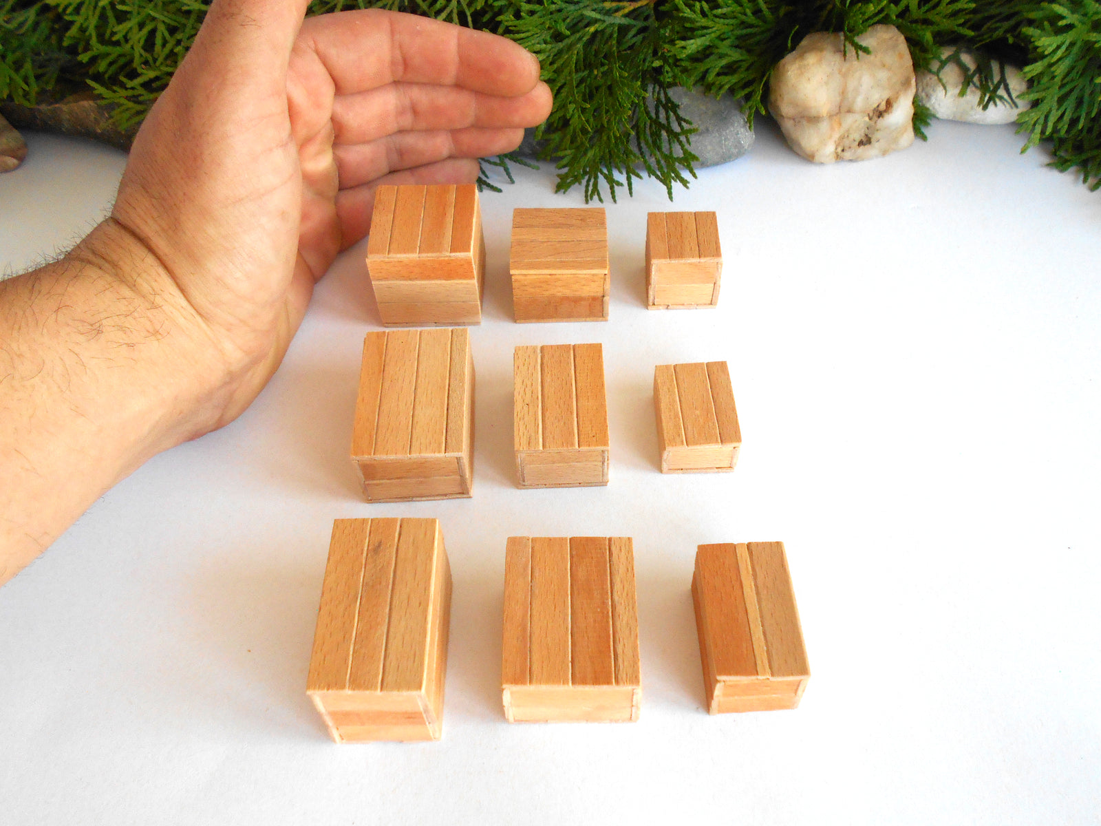 A hand is shown next to nine small rectangular wooden boxes of varying sizes, arranged on a white surface with green foliage and stones in the background.