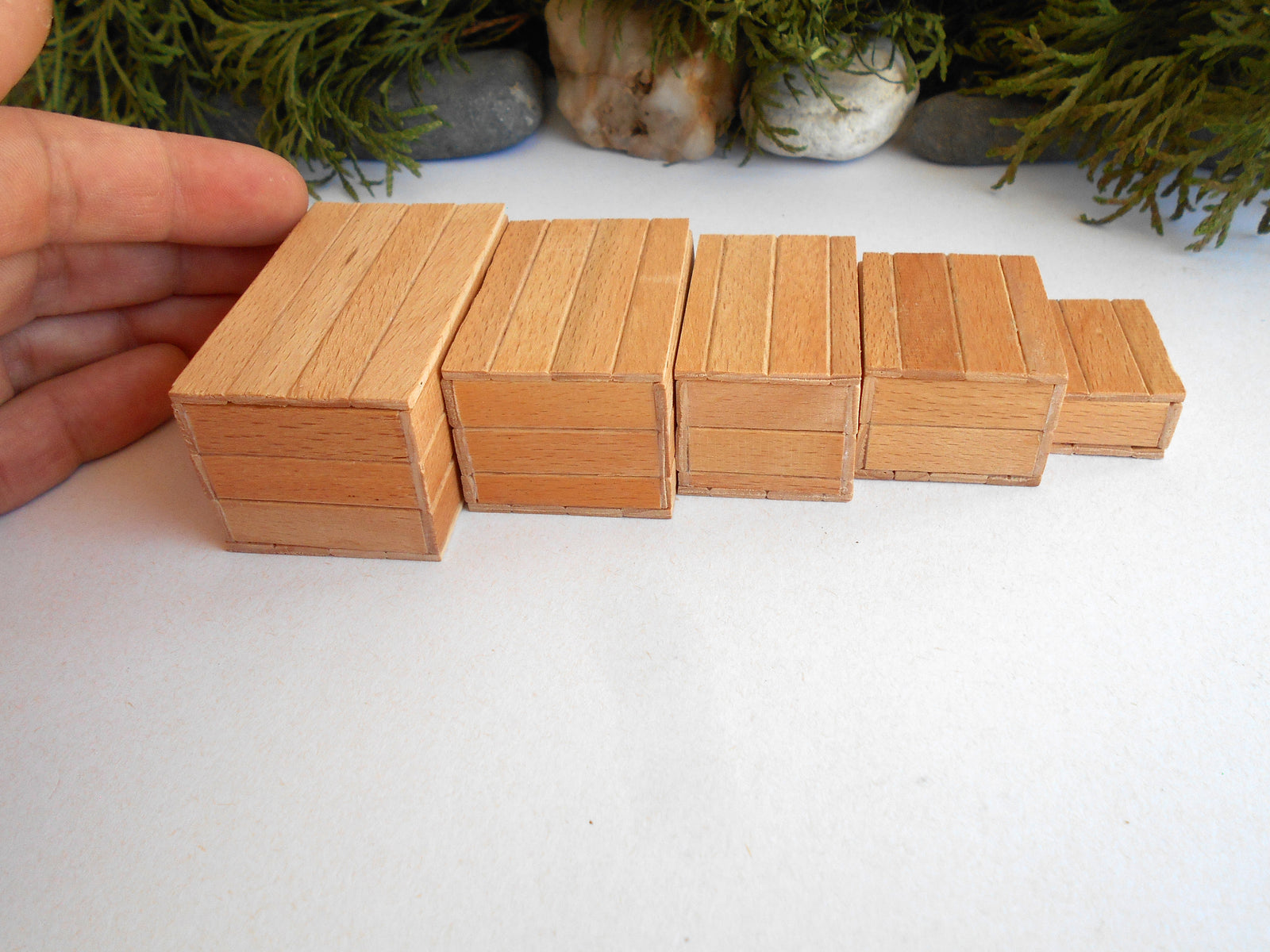 Five miniature light brown wooden boxes of varying sizes arranged in a row on a white surface, with a hand holding the leftmost box for scale and green foliage in the background.