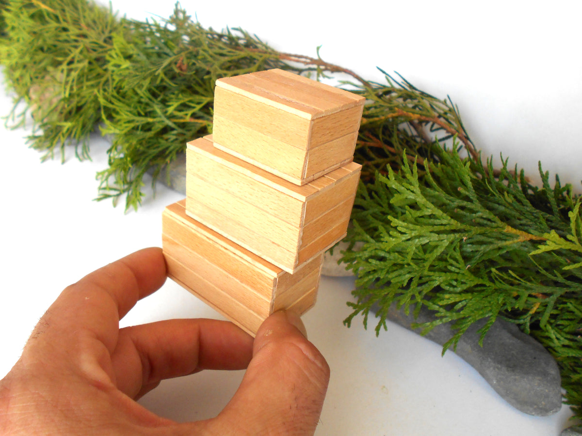 A hand holding a stack of four small, light-colored wooden boxes , with green pine branches in the background against a white surface.