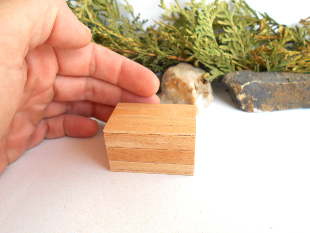 A small rectangular wooden box with a light natural wood grain, held by a person's hand on a white surface with green foliage and stones in the background.