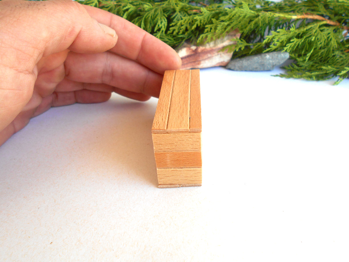 A hand holding a small rectangular wooden box with a slatted lid, set against a white background with green foliage in the blurred background.
