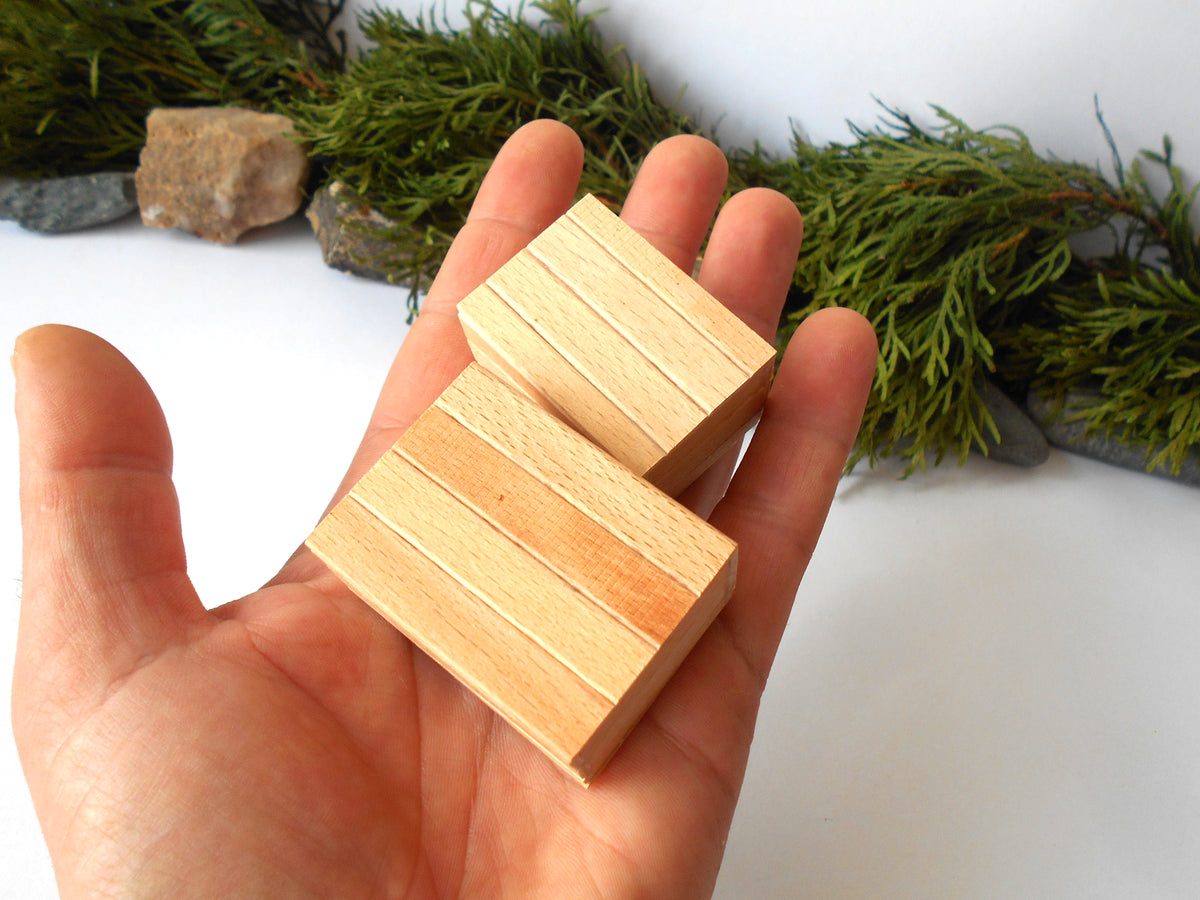 Two small rectangular unfinished wooden blocks held in a person's hand, with green foliage and rocks blurred in the background.