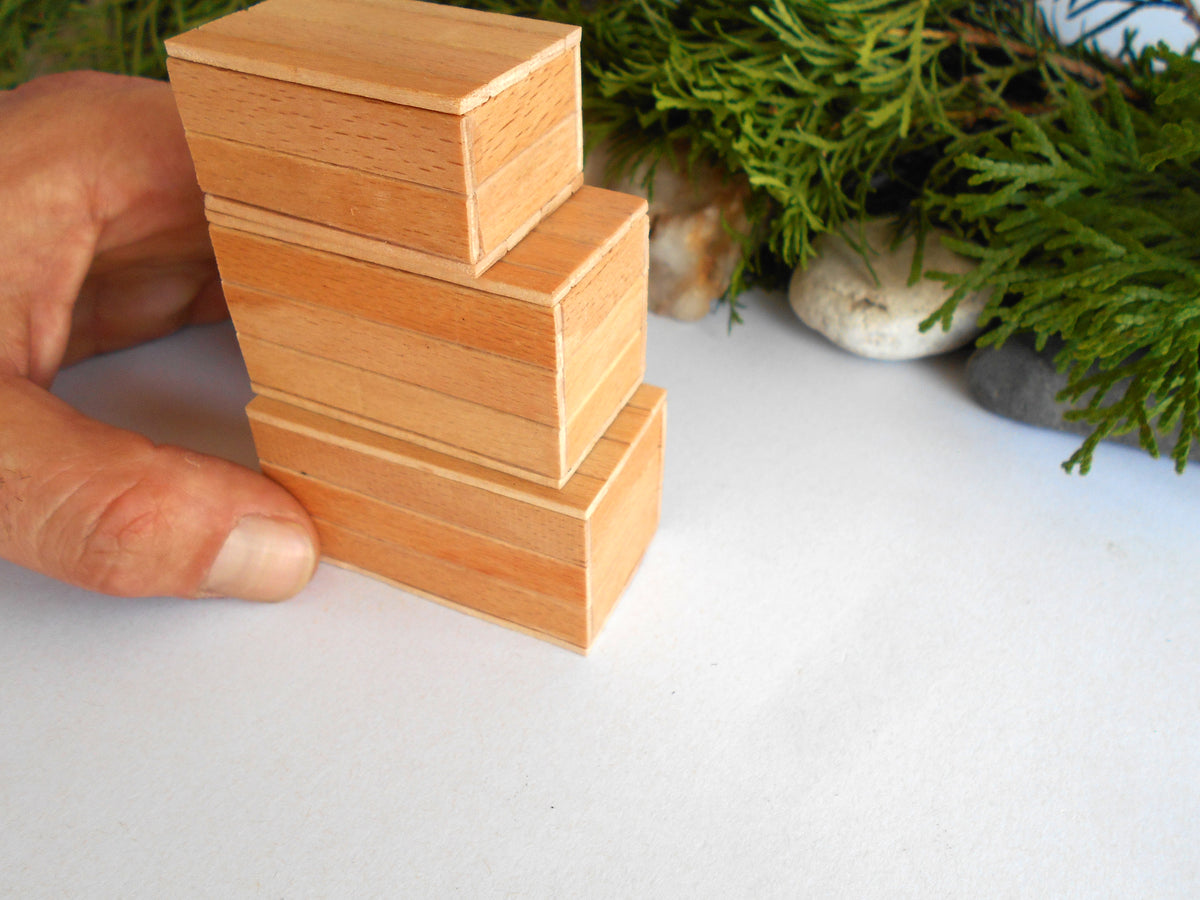 A hand holding a stack of four mini, light-colored wooden boxes with a natural wood grain finish, set against a white surface with green foliage in the background.