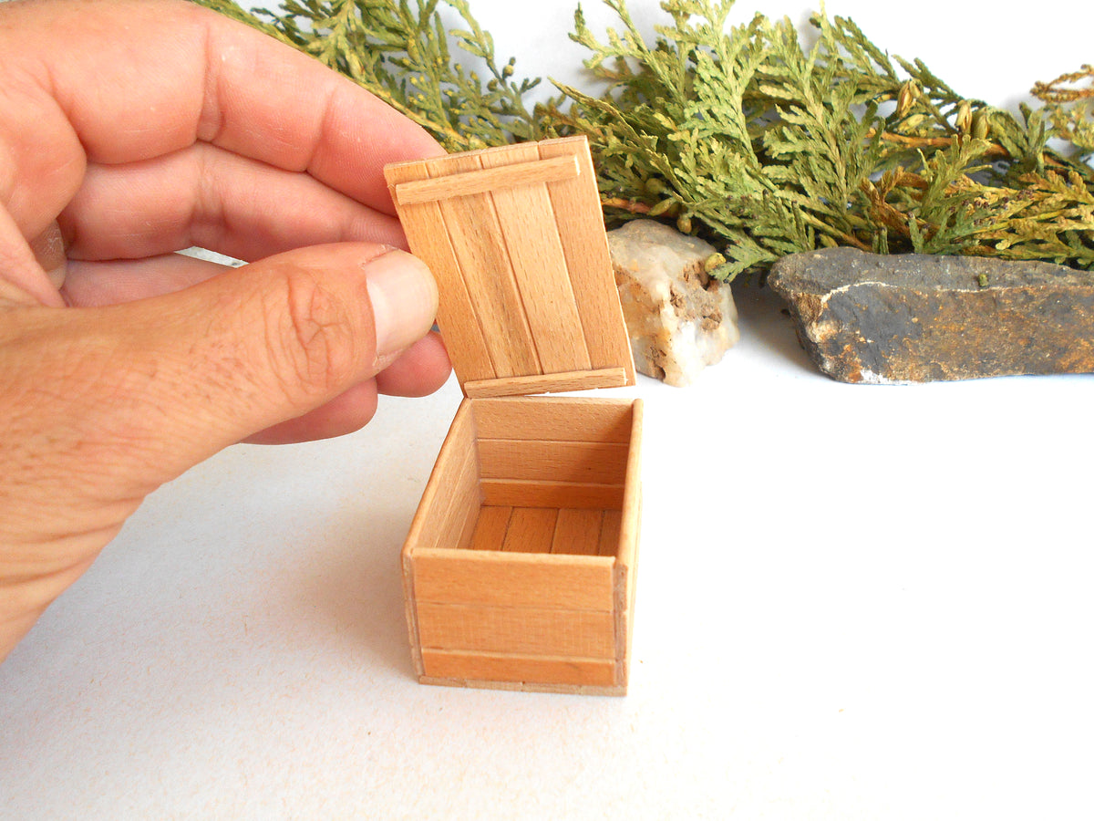 A miniature light brown wooden box with its lid open, held by a hand to show scale, with small green foliage and a rock in the background on a white surface.