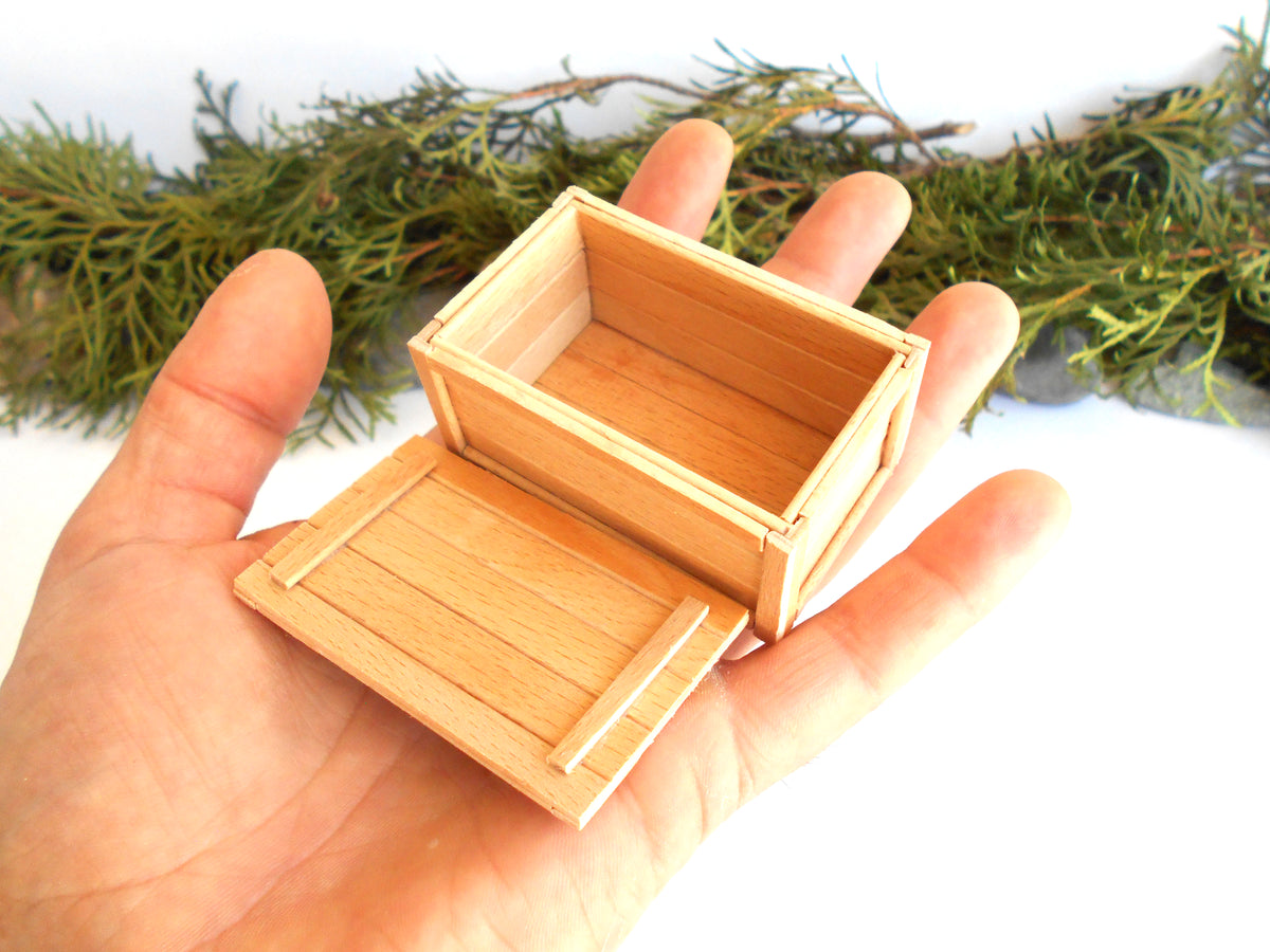 A miniature light wood box with its lid open, held in a person's hand against a white background with green foliage in the distance.