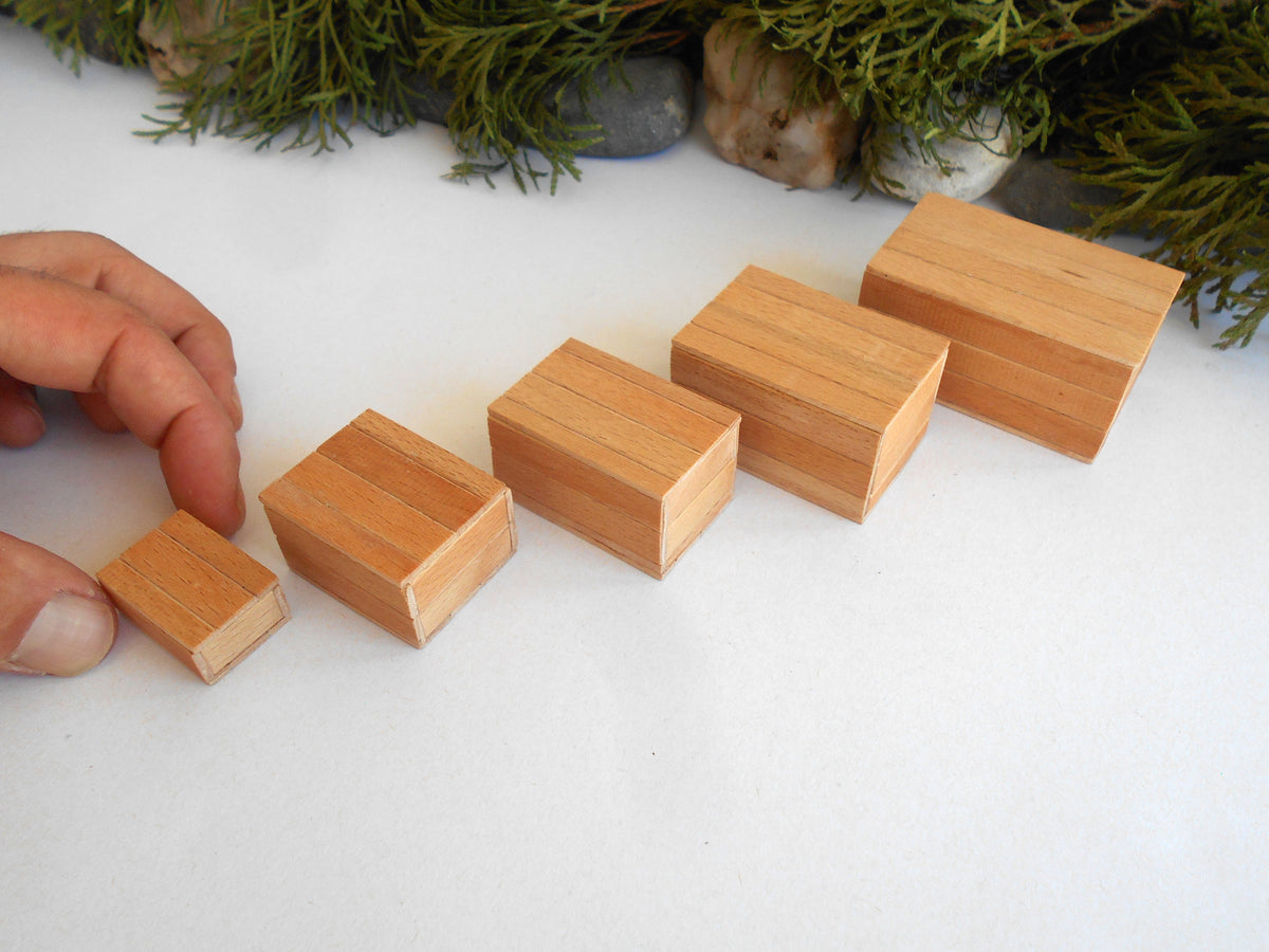 Five small rectangular wooden miniature boxes of varying sizes arranged in a row on a white surface, with a hand touching the smallest block and greenery in the background.