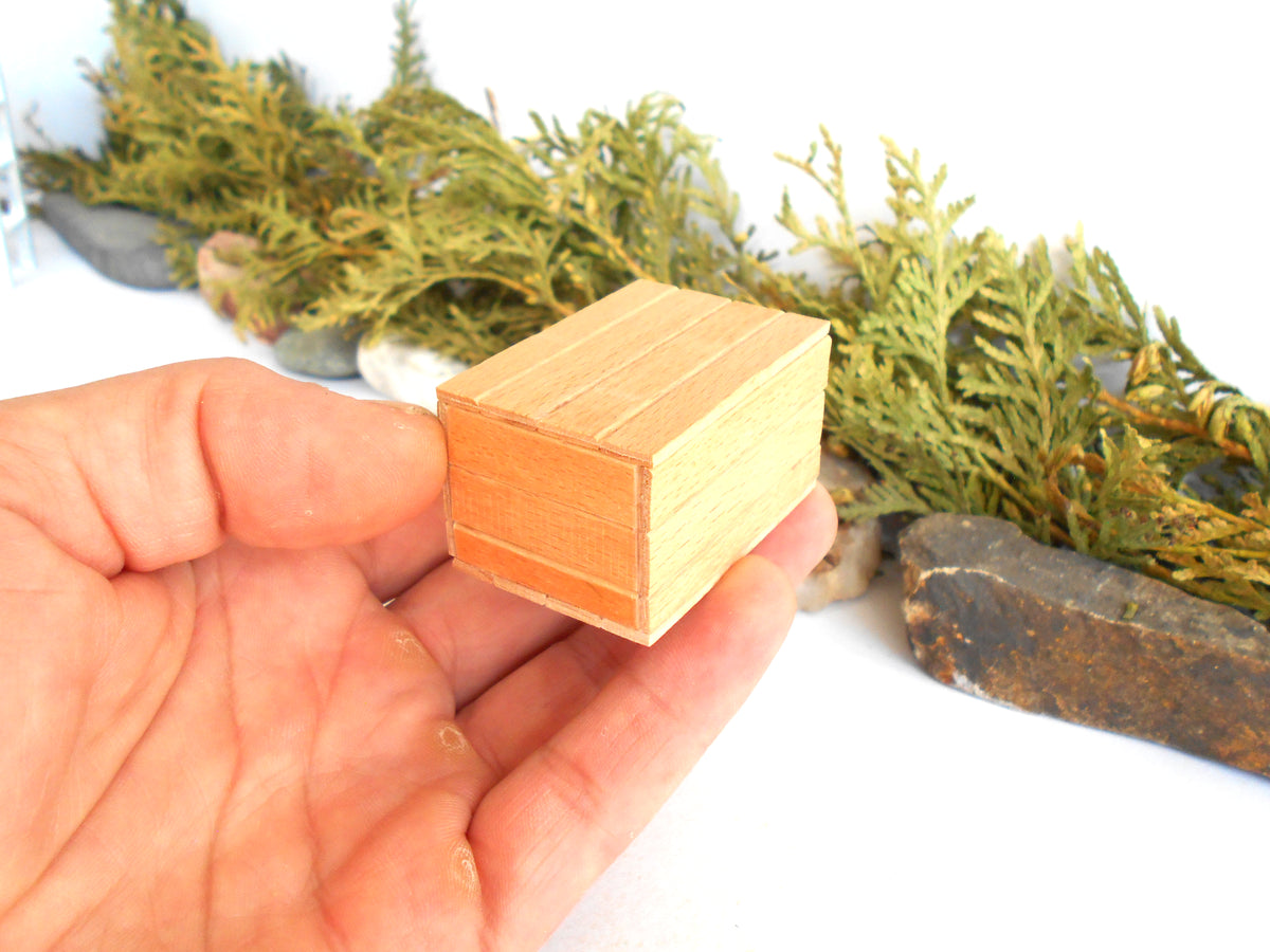 A hand holding a small, light-colored wooden block or box, with green foliage and dark stones in the blurred background against a white surface.