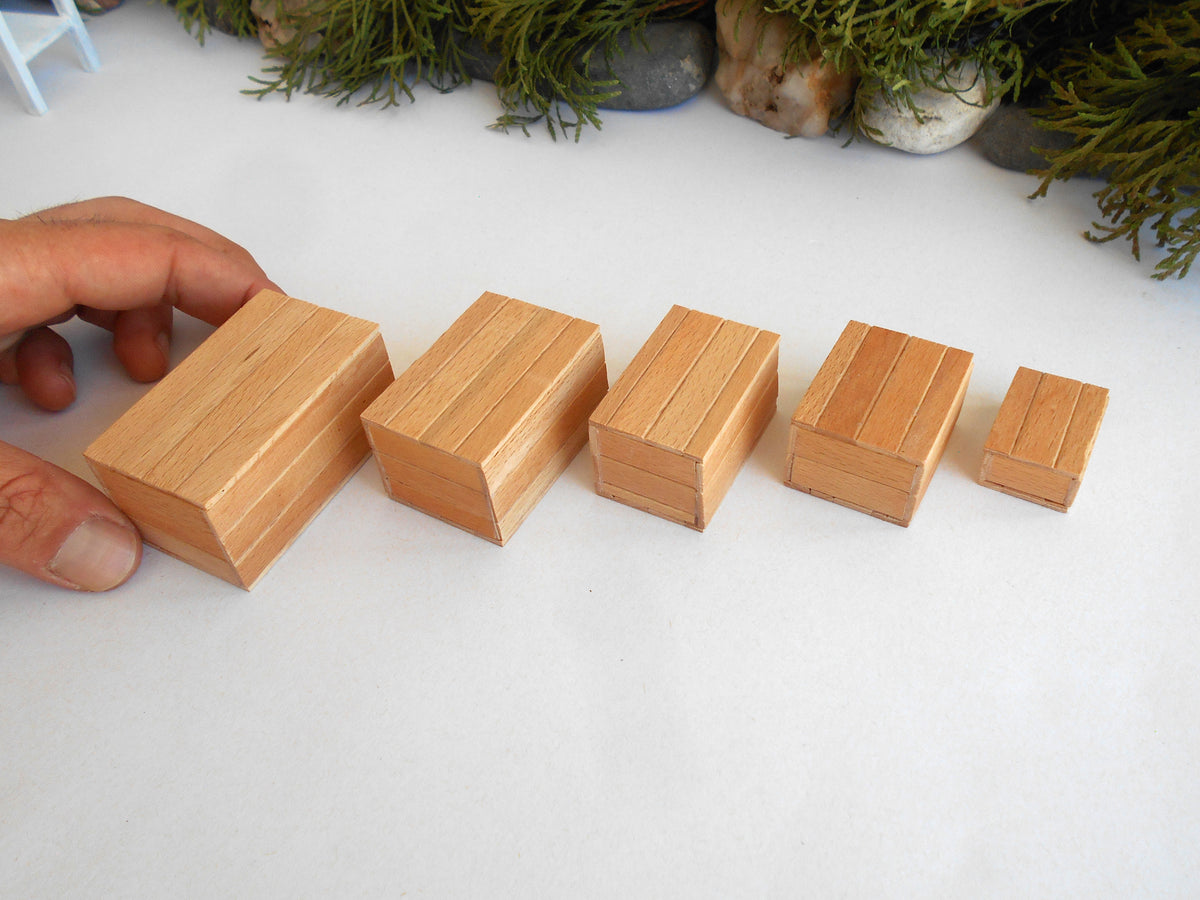 Five small rectangular wooden miniature boxes in varying sizes arranged in a row on a white surface, with a hand holding one of the larger blocks. Small potted plants are visible in the blurred background.