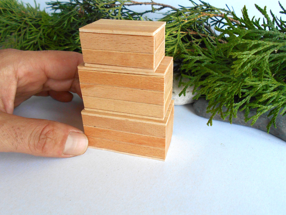 A hand holding a stack of three small natural wood boxes with a visible wood grain, set against a white surface with green foliage in the background.