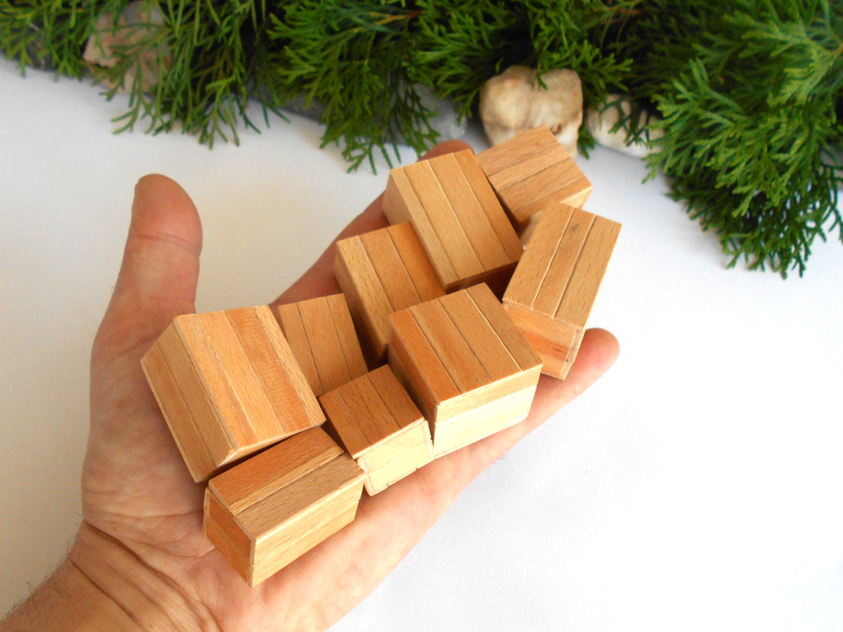 A hand holding a cluster of small rectangular wooden boxes  with visible wood grain, photographed against a white background with green foliage and garlic sprouts at the top.