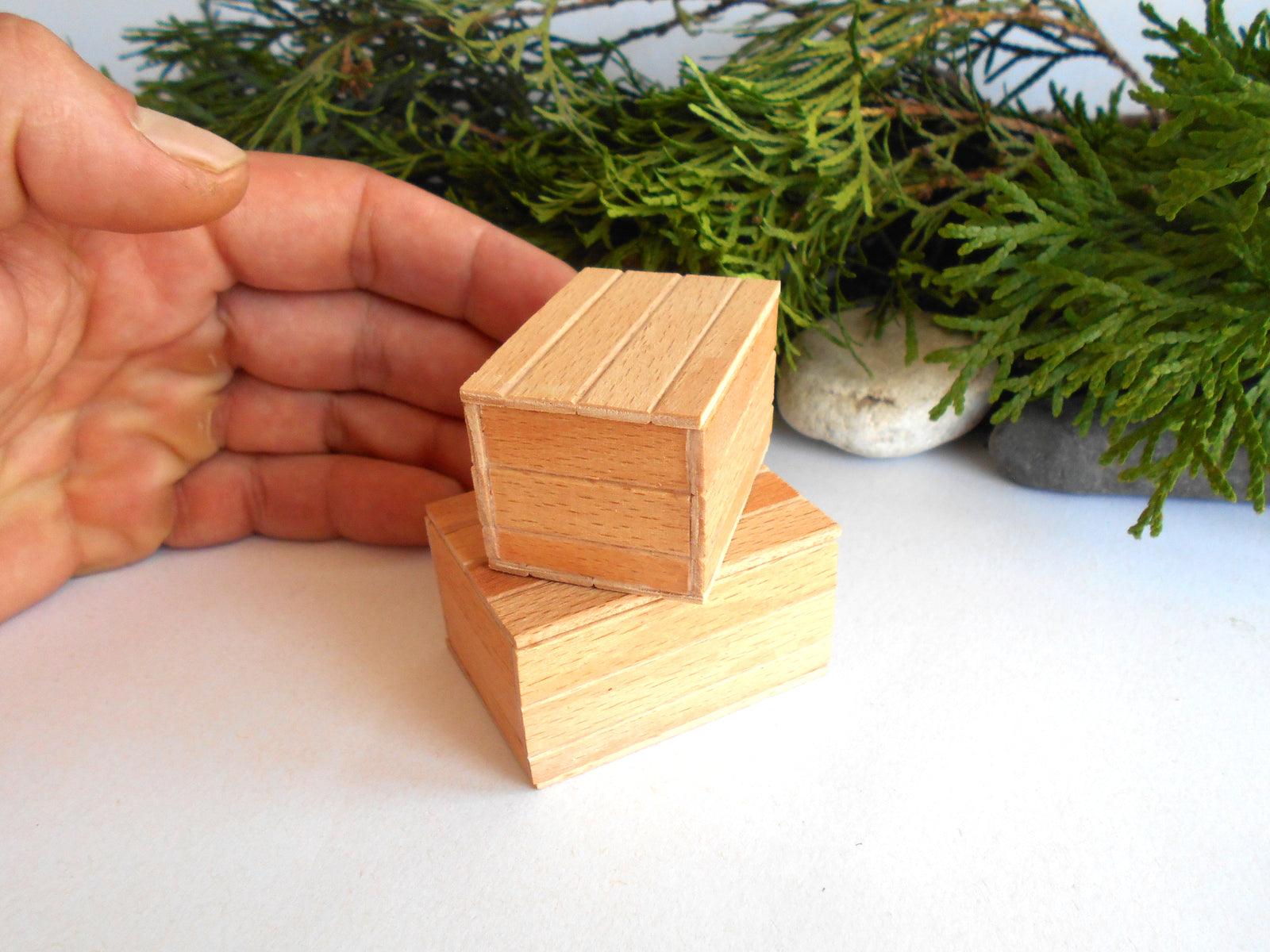 Two small unfinished wooden boxes stacked on a white surface, with a hand holding one box for scale and green foliage in the background.